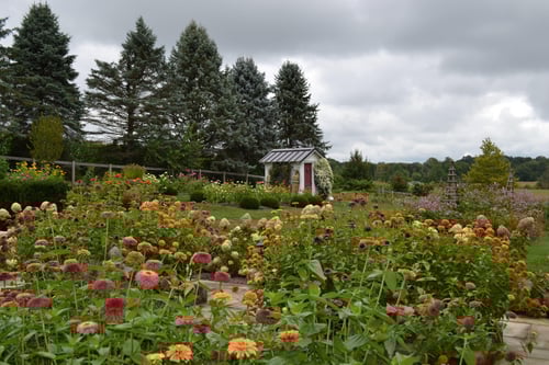 late summer garden plant colors
