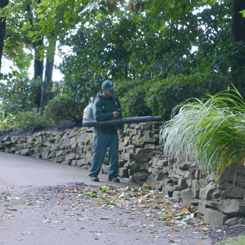 FALL CLEANUP