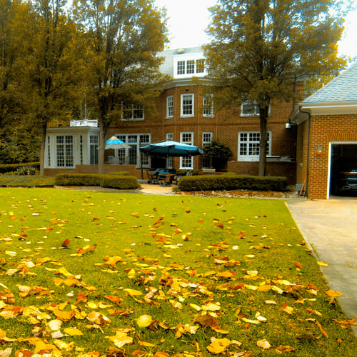Fall