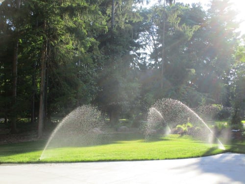 lawn irrigation
