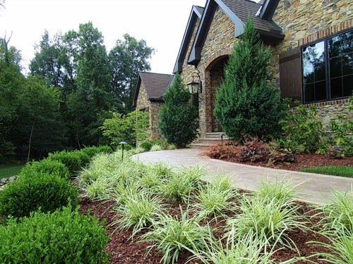 plant landscaping after upgrade