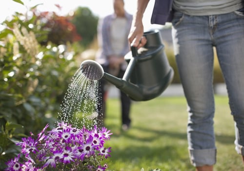 Watering Instructions