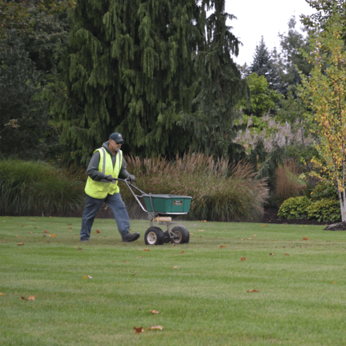 lawncare