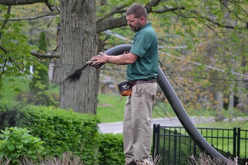 Mulch-Blowing-Installation-Process-Northeast-Ohio-Mar-22-2024-04-22-41-3367-PM